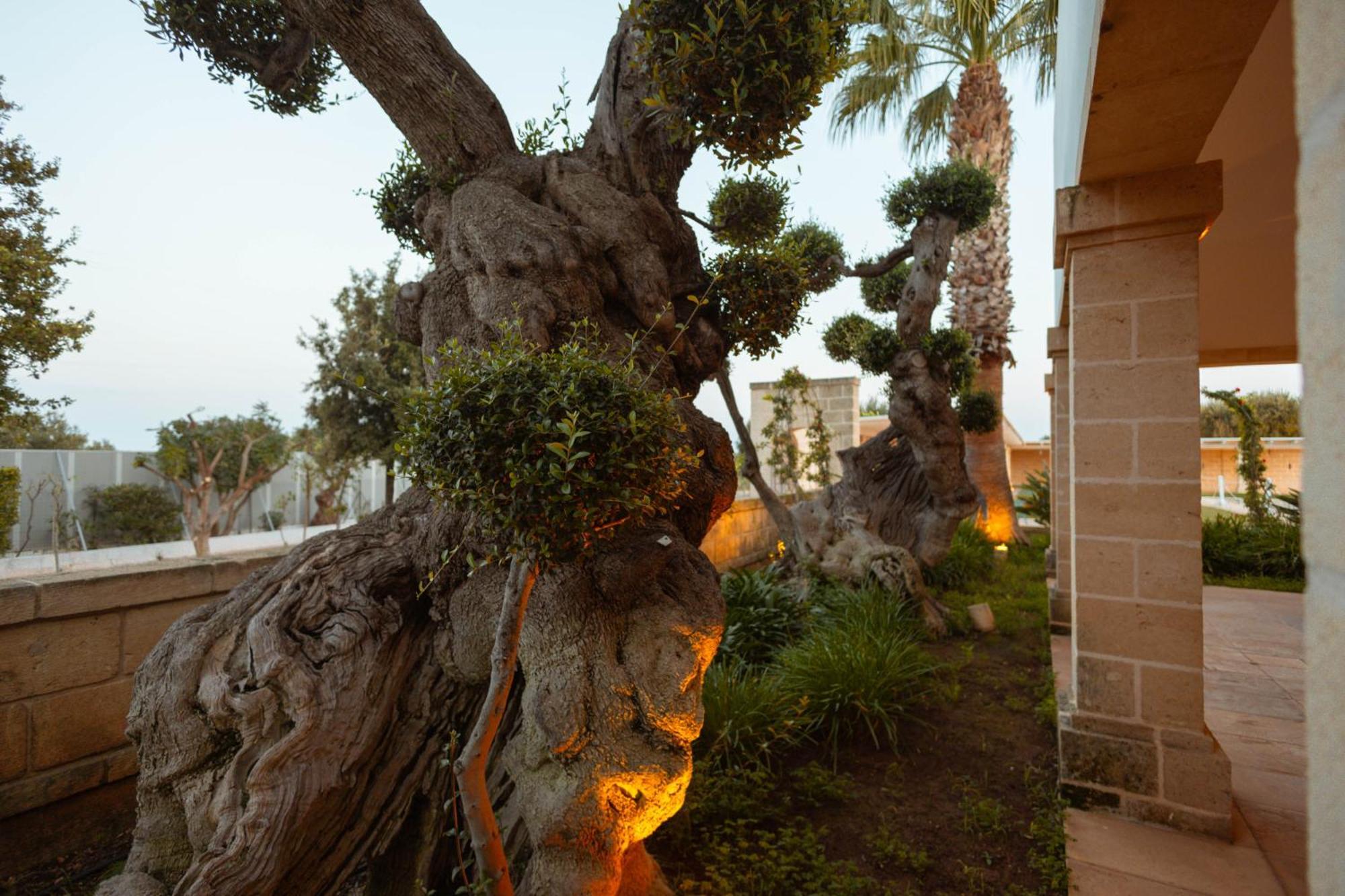 Villa Don Onofrio Monopoli Exterior foto